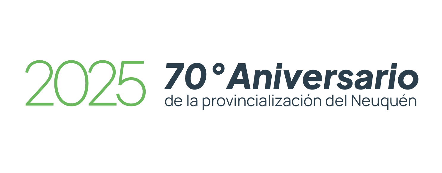 Vialidad Provincial Neuquen